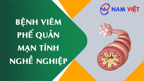 Bệnh viêm phế quản mạn tính nghề nghiệp