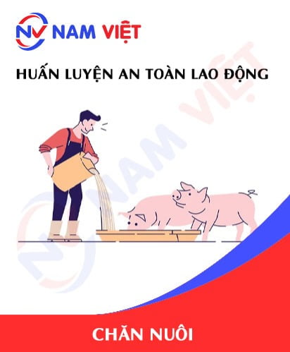 Huấn luyện an toàn lao động ngành chăn nuôi
