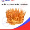 Huấn luyện an toàn lao động sản xuất đông trùng hạ thảo