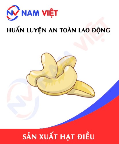 Huấn luyện an toàn lao động sản xuất hạt điều