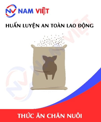Huấn luyện an toàn lao động sản xuất thức ăn chăn nuôi