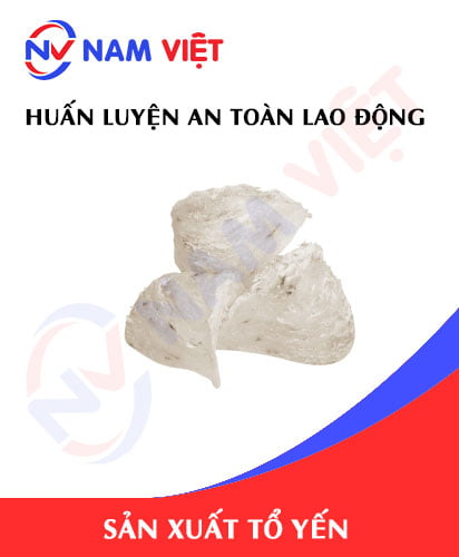 Huấn luyện an toàn lao động sản xuất tổ yến