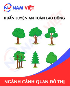 Huấn luyện an toàn lao động ngành cảnh quan đô thị