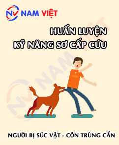 Huấn luyện kỹ năng sơ cấp cứu cho người bị súc vật hoặc côn trùng cắn