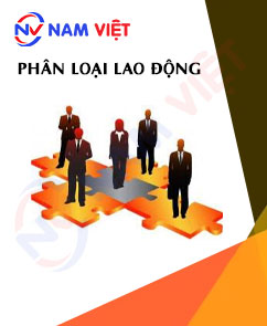 Phân loại lao động trong nhà máy, xí nghiệp, các cơ sở sản xuất và văn phòng làm việc