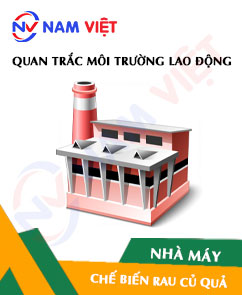 Quan trắc môi trường lao động nhà máy chế biến rau củ quả