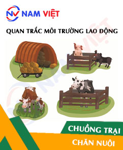 Quan trắc môi trường lao động tại chuồng trại chăn nuôi