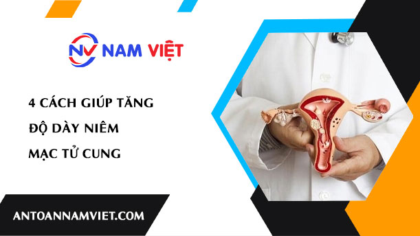 4 CÁCH GIÚP TĂNG ĐỘ DÀY NIÊM MẠC TỬ CUNG