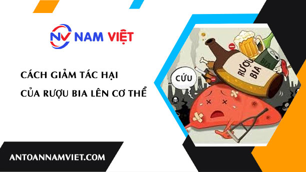 CÁCH GIẢM TÁC HẠI CỦA RƯỢU BIA LÊN CƠ THỂ