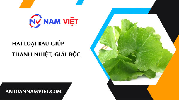 HAI LOẠI RAU GIÚP THANH NHIỆT, GIẢI ĐỘC