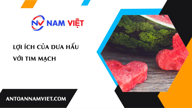 LỢI ÍCH CỦA DƯA HẤU VỚI TIM MẠCH