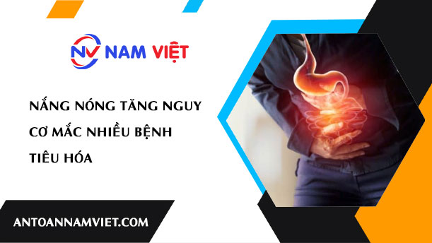 Nắng nóng tăng nguy cơ mắc nhiều bệnh tiêu hóa