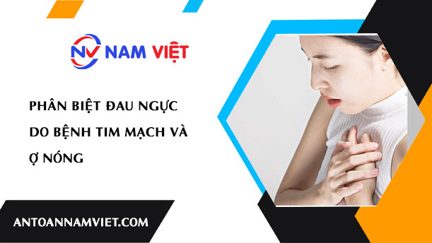 PHÂN BIỆT ĐAU NGỰC DO BỆNH TIM MẠCH VÀ Ợ NÓNG