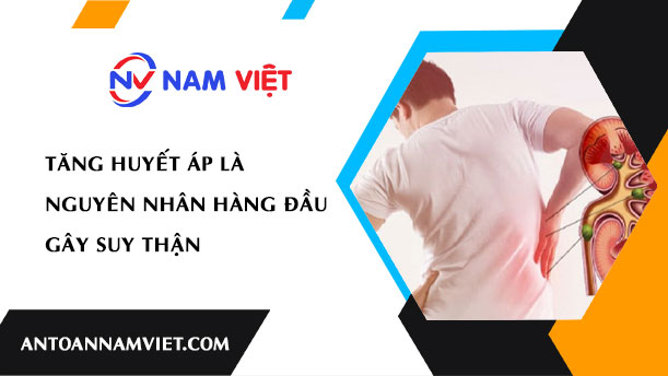 TĂNG HUYẾT ÁP LÀ NGUYÊN NHÂN HÀNG ĐẦU GÂY SUY THẬN