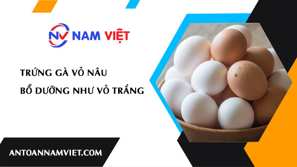 TRỨNG GÀ VỎ NÂU BỔ DƯỠNG NHƯ VỎ TRẮNG