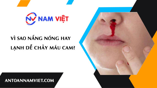 VÌ SAO NẮNG NÓNG HAY LẠNH DỄ CHẢY MÁU CAM?