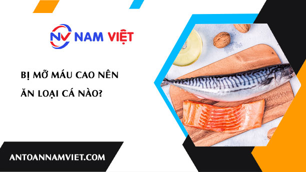 Bị mỡ máu cao nên ăn loại cá nào?