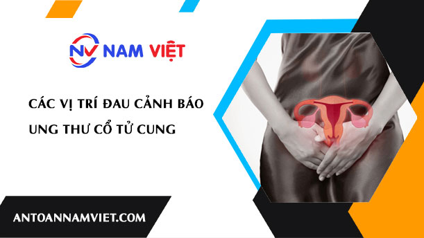 Các vị trí đau cảnh báo ung thư cổ tử cung