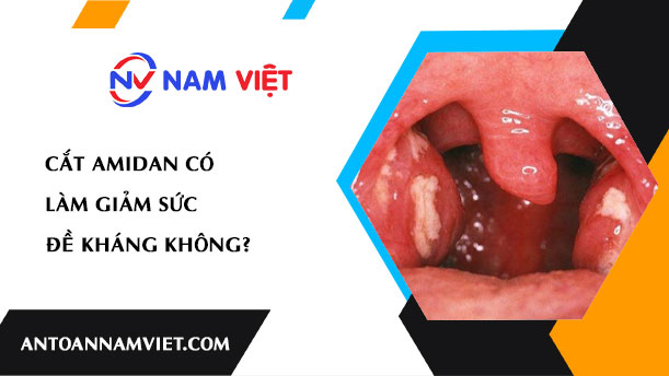 Cắt amidan có làm giảm sức đề kháng không?