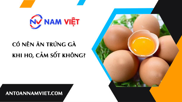 Có nên ăn trứng gà khi ho, cảm sốt không?