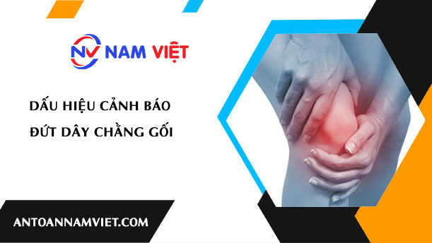 Dấu hiệu cảnh báo đứt dây chằng gối