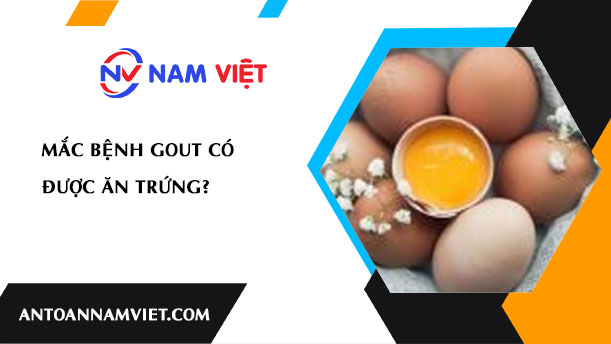 Mắc bệnh gout có được ăn trứng?