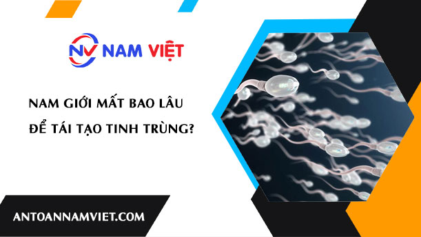 Nam giới mất bao lâu để tái tạo tinh trùng?