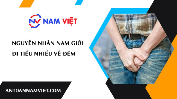 Nguyên nhân nam giới đi tiểu nhiều về đêm