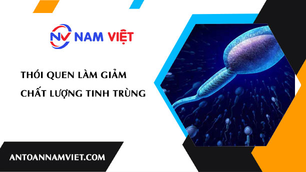 THÓI QUEN LÀM GIẢM CHẤT LƯỢNG TINH TRÙNG