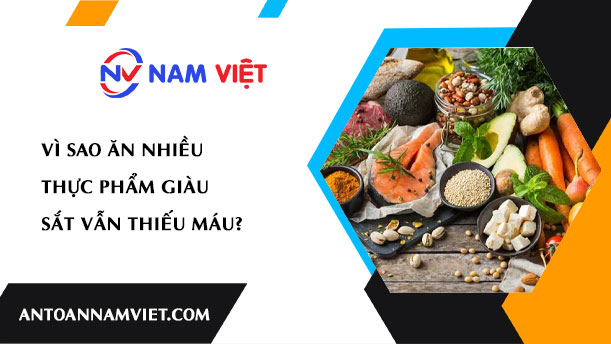 Vì sao ăn nhiều thực phẩm giàu sắt vẫn thiếu máu?
