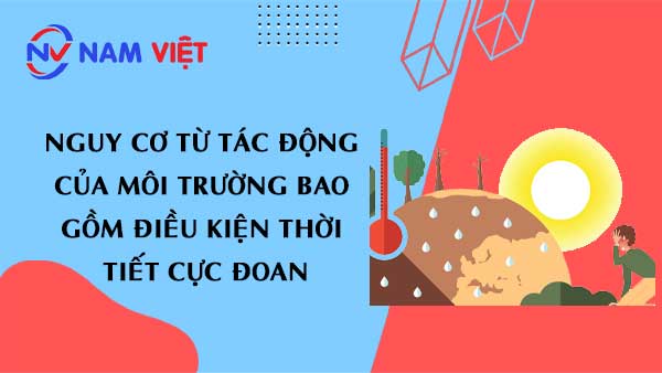Nguy cơ từ tác động của môi trường bao gồm điều kiện thời tiết cực đoan