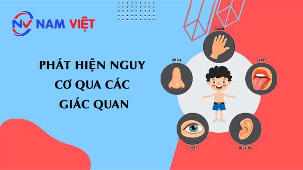 Phát hiện nguy cơ qua các giác quan
