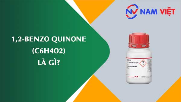 1,2-Benzo quinon ảnh hưởng như thế nào đến sức khỏe người lao động