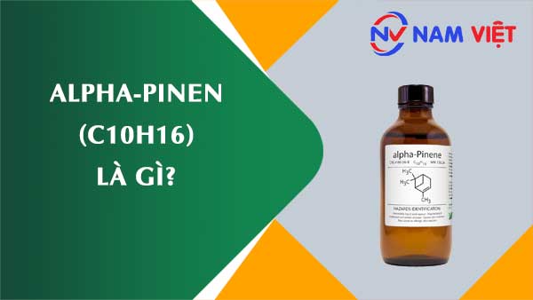 Alpha-Pinen ảnh hưởng như thế nào đến sức khỏe người lao động