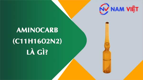 Aminocarb ảnh hưởng như thế nào đến sức khỏe người lao động