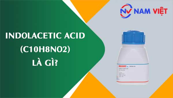Axit indolacetic ảnh hưởng như thế nào đến sức khỏe người lao động