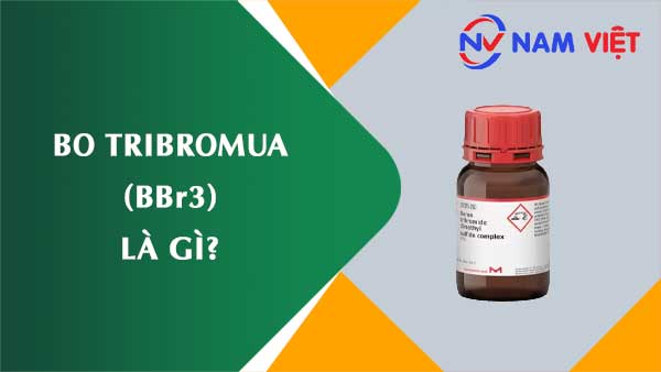 Bo tribromua ảnh hưởng như thế nào đến sức khỏe người lao động