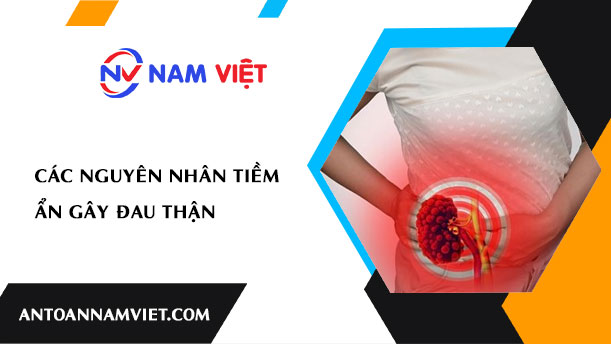 CÁC NGUYÊN NHÂN TIỀM ẨN GÂY ĐAU THẬN