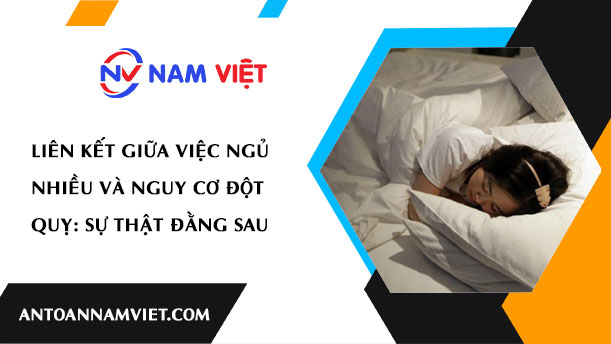 LIÊN KẾT GIỮA VIỆC NGỦ NHIỀU VÀ NGUY CƠ ĐỘT QUỴ: SỰ THẬT ĐẰNG SAU