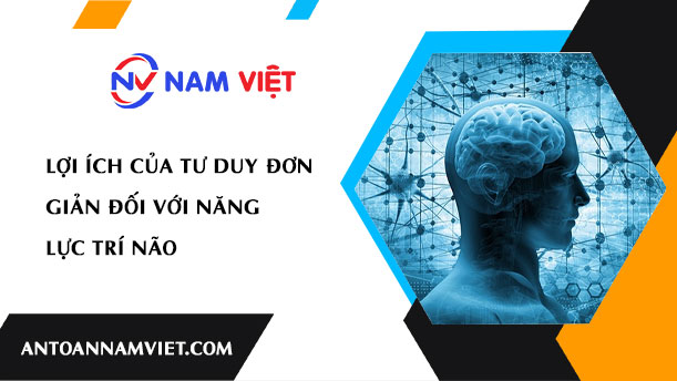 Lợi Ích của Tư Duy Đơn Giản Đối Với Năng Lực Trí Não
