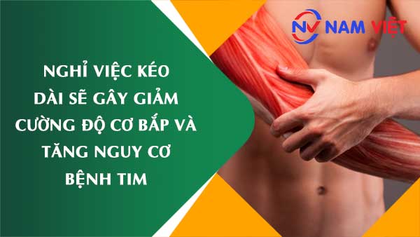 Nghỉ việc kéo dài sẽ gây giảm cường độ cơ bắp và tăng nguy cơ bệnh tim