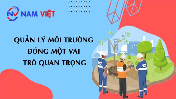 Quản lý môi trường đóng một vai trò quan trọng