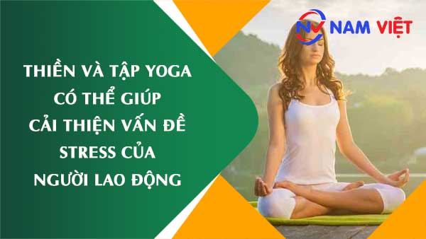 Thiền và tập yoga có thể giúp cải thiện vấn đề stress của người lao động