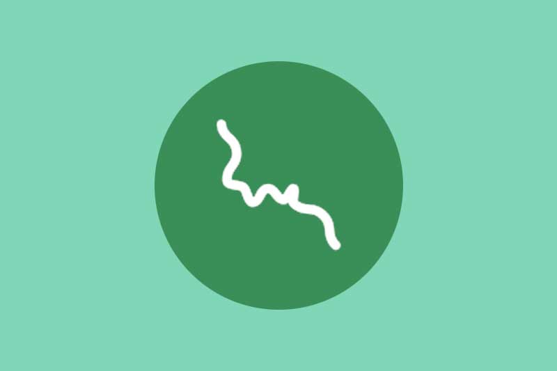 Occupational Leptospira Disease Risk Assessment Tool