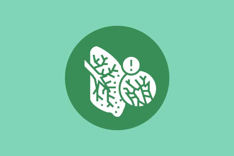 Occupational Asbestos Pneumoconiosis Risk Assessment Tool