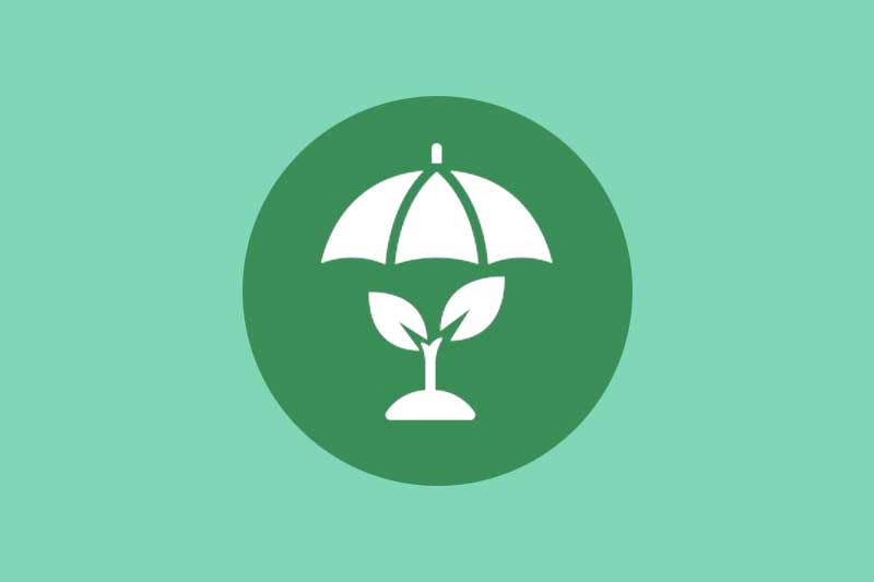 Occupational Pesticide Poisoning Risk Assessment Tool