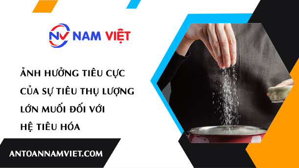 ẢNH HƯỞNG TIÊU CỰC CỦA SỰ TIÊU THỤ LƯỢNG LỚN MUỐI ĐỐI VỚI HỆ TIÊU HÓA