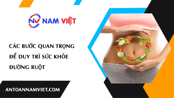 CÁC BƯỚC QUAN TRỌNG ĐỂ DUY TRÌ SỨC KHỎE ĐƯỜNG RUỘT