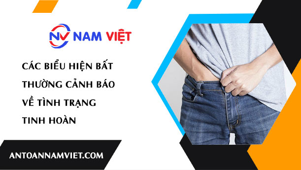 Các Biểu Hiện Bất Thường Cảnh Báo Về Tình Trạng Tinh Hoàn