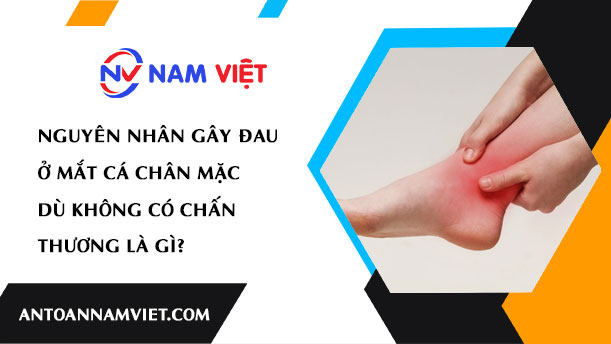 NGUYÊN NHÂN GÂY ĐAU Ở MẮT CÁ CHÂN MẶC DÙ KHÔNG CÓ CHẤN THƯƠNG LÀ GÌ?